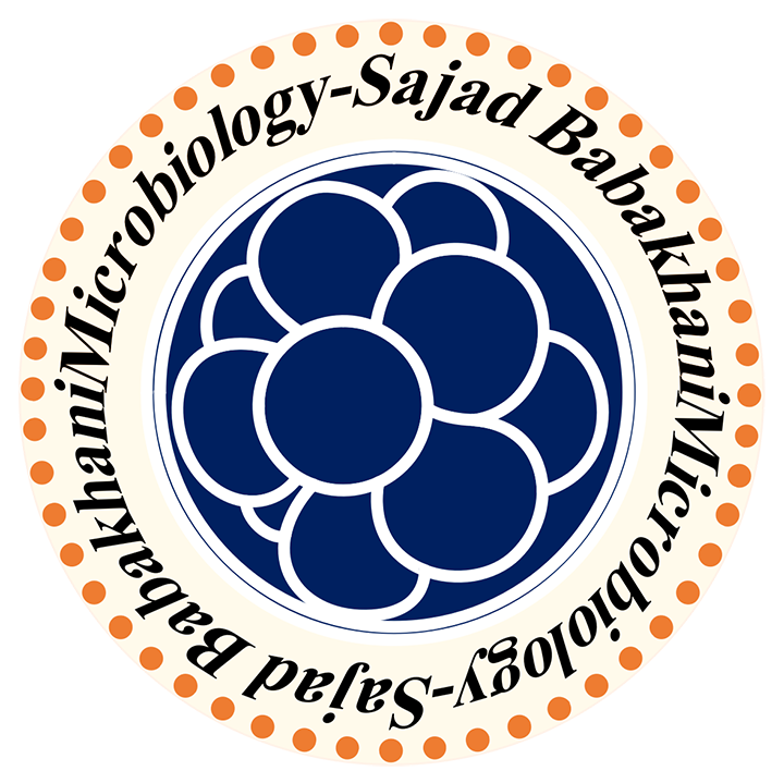 Sajad Babakhani Profile